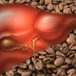 Caffè e the nemici della steatosi epatica