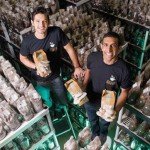 Caffè e funghi insieme per un business sostenibile