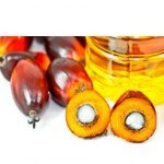 Aumento IVA per olio di palma e acidi grassi