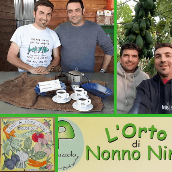Caffè: dalla Sicilia una varietà Arabica 100% bio