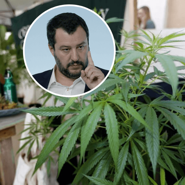 Nessuna chiusura per i punti vendita di cannabis light