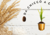Nel 2019 cresce la solidarietà grazie al progetto “Da Chicco a Chicco” di Nespresso