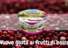 Lo yogurt extra cremoso Latte Fieno di Latteria Merano al gusto Frutti di Bosco
