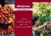 Altromercato. Quotazioni di caffè in aumento, ma qual è il prezzo giusto per la tazzina?