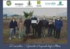 Nella Giornata nazionale degli Alberi, anche in Puglia “Le città che respirano” di Nespresso