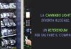 La cannabis light diventa illegale. Un referendum per salvare la filiera