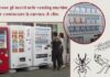 In Giappone i distributori automatici di insetti commestibili