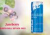 Red Bull® presenta la nuova Red Bull® Summer Edition al sapore di Juneberry