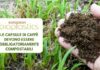 Ass.ne europea Bioplastiche: le capsule devono essere obbligatoriamente compostabili