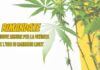Cannabis legale e distributori automatici: la stretta è solo rimandata