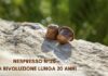 Nespresso presenta Nespresso N°20 frutto di un lavoro di ricerca lungo 20 anni