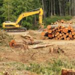 Nestlé, Mars Wrigley e Ferrero supportano la legge dell’UE sulla deforestazione