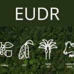 Il nuovo regolamento europeo EUDR colpisce la filiera del caffè