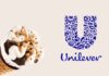 Unilever dismette la divisione gelati