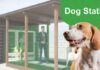 Dog-station: area relax con distributori automatici per i 4 zampe