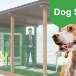 Dog-station: area relax con distributori automatici per i 4 zampe