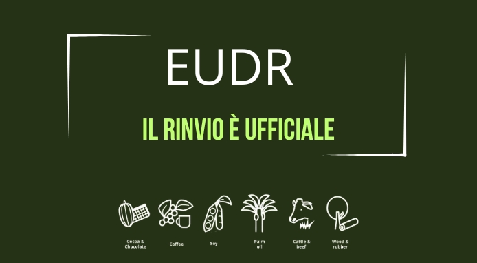 Il regolamento europeo sulla deforestazione (EUDR) rinviato ufficialmente