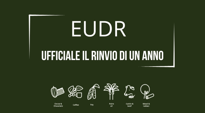 Legge sulla deforestazione (EUDR): ufficiale il rinvio di un anno