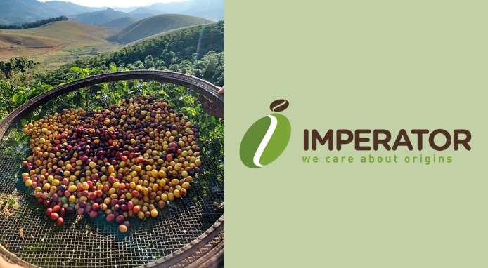 La tempesta perfetta nel mercato del caffè: l’analisi di IMPERATOR