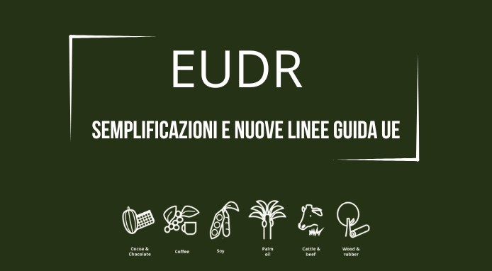 EUDR: semplificazioni e nuove linee guida UE contro la deforestazione