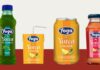 YOTEA si rinnova: nuovo look per il thè freddo YOGA
