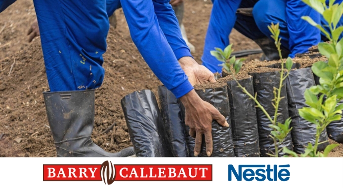 Nestlé e Barry Callebaut insieme per la riforestazione del Brasile