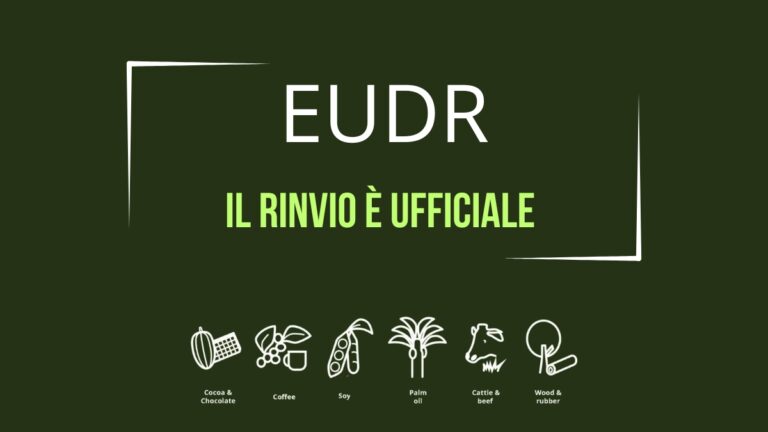 EUDR rinviata: più tempo per torrefattori e filiere del caffè