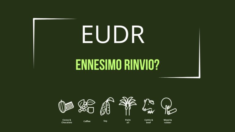 EUDR, nuovo rinvio in vista: il caffè al centro delle incertezze