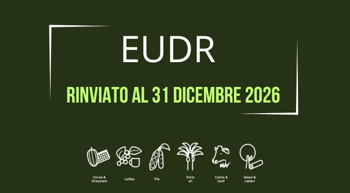 EUDR rinviato: più tempo per le filiere e mercati del caffè meno sotto pressione