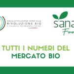 Biologico in Italia: 6,9 miliardi nel 2025. Il fuori casa diventa canale strategico